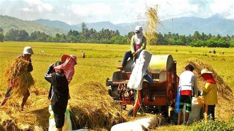 produktong pang agrikultura sa central luzon|Central Luzon Agriculture sector remains vibrant – DA.